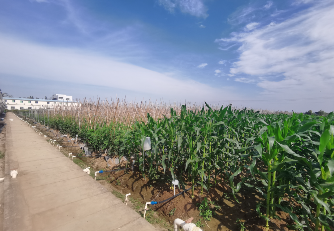 微信圖片_20221123123402.png 微信圖片_20221123123402.png