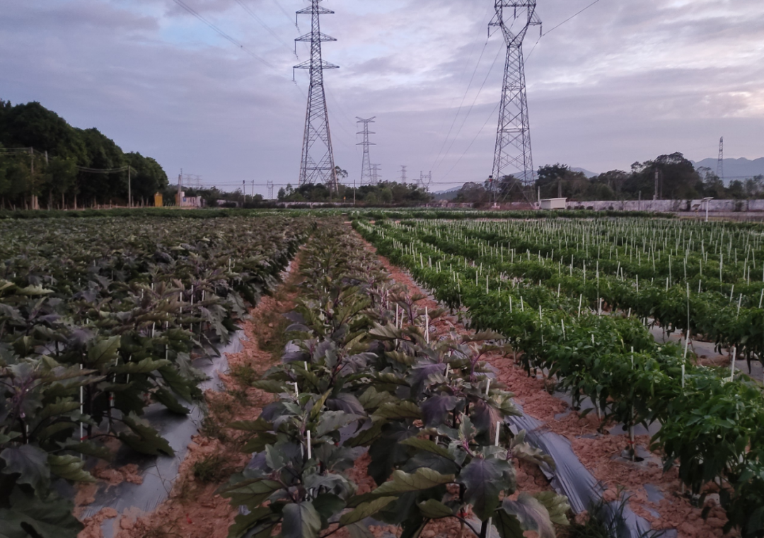 微信圖片_20221123123430.png 微信圖片_20221123123430.png