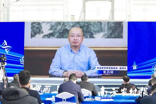 農業農村部黨組成員、副部長張興旺視頻講話。 農業農村部黨組成員、副部長張興旺視頻講話。
